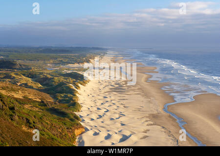 Sanddünen an der Pacific-Coast in der Nähe von Florence, Oregon, USA, Nordamerika Stockfoto