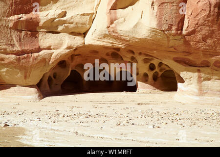 Paria River, Paria Canyon - Vermillion Cliffs Wilderness, Weißes Haus Trailhead, Windows, Utah, USA, Nordamerika Stockfoto