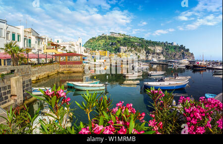 Landschaft mit Lacco Ameno, Küste von Ischia, Italien Stockfoto