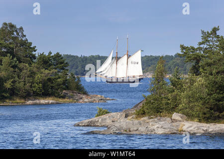 Segelschiff in den Stockholmer Schären, Uppland, Stockholms Land, Süd Schweden, Schweden, Skandinavien, Nordeuropa Stockfoto