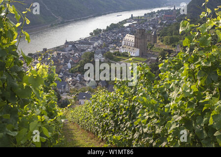 Blick über die Weinberge bei Oberwesel und Rhein, Oberes Mittelrheintal, Rheinland-Pfalz, Deutschland, Europa Stockfoto