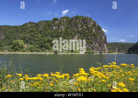 Blick über den Rhein zur Loreley, in der Nähe von St. Goar, Oberes Mittelrheintal, Rheinland-Pfalz, Deutschland, Europa Stockfoto