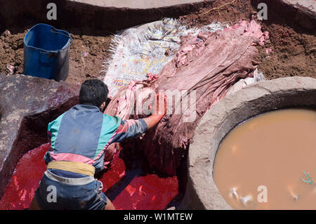 Arbeiter im Gerber-Viertel, Chouara, Fes, Marokko Stockfoto