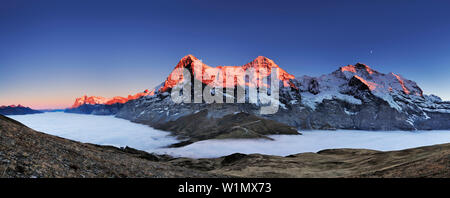 Panorama mit alpenglühen auf Wetterhorn, Eiger, Mönch und Jungfrau, Meer von Nebel über Grindelwald, Kleine Scheidegg, Grindelwald, UNESCO Weltkulturerbe Stockfoto