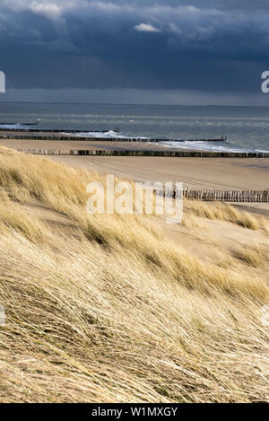 Küste, Sandstrand, Buhne, Westkapelle in der Nähe von Domburg, Nordseeküste, Zeeland, Niederlande Stockfoto