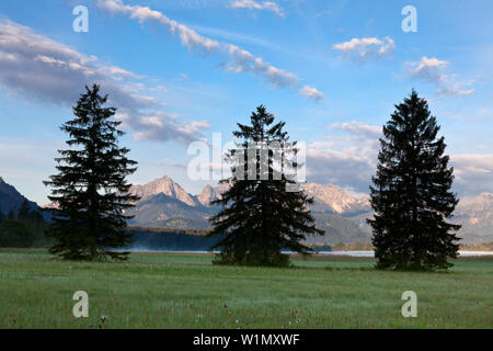 Blick auf den Bannwaldsee, Tannheimer Berge, Allgäu, Bayern, Deutschland Stockfoto