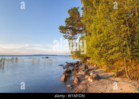 Ufer des Sees Vättern in der Nähe von karlsborg am Morgen, February, Götaland, Süd Schweden, Schweden, Skandinavien, Nordeuropa, Europa Stockfoto