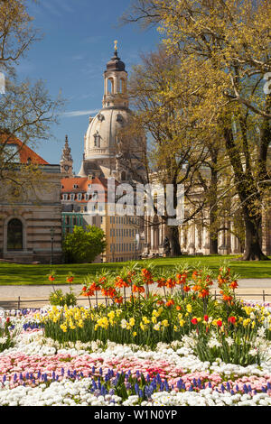 Bruehlscher Garten in der Altstadt von Dresden mit der Frauenkirche, Albertinum und blühende Blumen im Vordergrund, Sachsen, Deutschland Stockfoto
