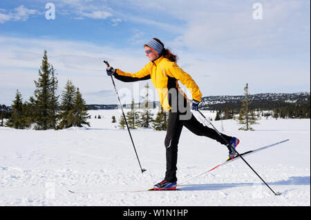 Frau Langlaufen, Lillehammer, Norwegen Stockfoto