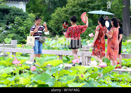Juli 3, 2019 - Zhejiang, Jiangsu, China Jiangsu, China - 3. Juli 2019: ein Pavillon Garten von huqiu Mountain Scenic Area in Suzhou, Provinz Jiangsu ist mit Lotus mit einer Fläche von über 1500 Quadratmetern überlagert. blühender Lotus und tausend Jahre alte Pagode viele Touristen kommen, Fotos zu machen und zu gewinnen. (Bild: © SIPA Asien über ZUMA Draht) Stockfoto