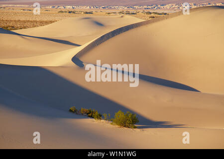 Blick über Mesquite flachen Sand Dünen von Stovepipe Wells Village, Death Valley National Park, Kalifornien, USA, Nordamerika Stockfoto