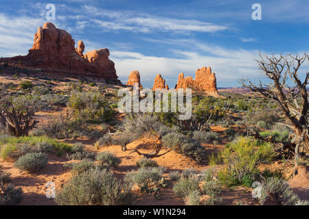 Elephant Butte, Arches-Nationalpark, Utah, USA Stockfoto