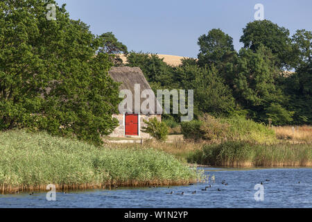 Hafen Selsø an der Bucht von Roskilde Fjord, Insel von Neuseeland, Skandinavien, Dänemark, Nordeuropa Stockfoto