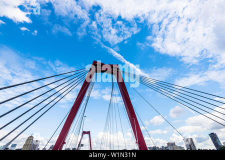 Die schrägseilbrücke Willems Brücke über den Fluss Maas mit Blick auf das Stadtzentrum von der Insel Noordereiland, Rotterdam, Niederlande Stockfoto
