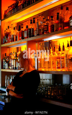 Weiblichen Barkeeper in den Bourbon Bar, Washington DC, Vereinigte Staaten, USA Stockfoto