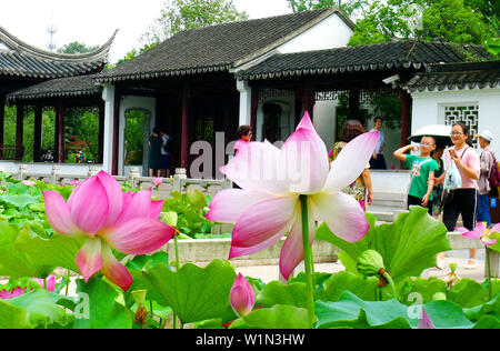 Juli 3, 2019 - Zhejiang, Jiangsu, China Jiangsu, China - 3. Juli 2019: ein Pavillon Garten von huqiu Mountain Scenic Area in Suzhou, Provinz Jiangsu ist mit Lotus mit einer Fläche von über 1500 Quadratmetern überlagert. blühender Lotus und tausend Jahre alte Pagode viele Touristen kommen, Fotos zu machen und zu gewinnen. (Bild: © SIPA Asien über ZUMA Draht) Stockfoto