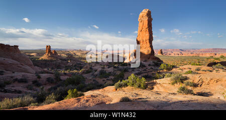 Sandsteinformationen, Garten Eden, Elephant Butte, Arches National Park, Moab, Utah, USA Stockfoto