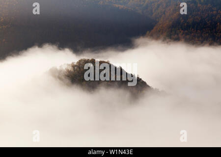 Bewaldeten felsigen Gipfel aus dem Nebel im Tal der Donau klemmt, Naturpark Obere Donau, Baden-Württemberg, Deutschland Stockfoto