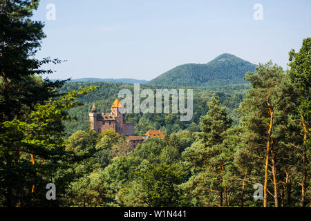 Burg Berwartstein Burg, Erlenbach, Pfälzer Wald, Pfalz, Rheinland-Pfalz, Deutschland Stockfoto