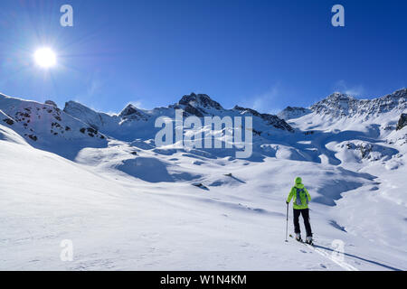 Frau back-country skiing aufsteigender Richtung Rocca La Marchisa, Rocca La Marchisa, Valle Varaita, Cottischen Alpen, Piemont, Italien Stockfoto