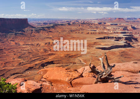 Grand View Point, Green River Overlook, Island In The Sky, Canyonlands National Park, Utah, USA Stockfoto