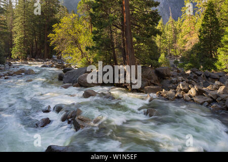 Yosemite Creek, Yosemite National Park, Kalifornien, USA Stockfoto