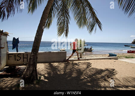 Junger Mann läuft entlang Strand, Dominica, kleine Antillen, Caribbean Stockfoto