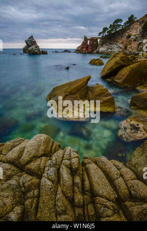 Felsen am Strand von Cala del frares, Sa Caleta, Mittelmeer, Lloret de Mar, Costa Brava, Katalonien, Spanien Stockfoto