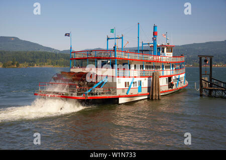 Sternwheeler auf dem Columbia River Gorge, Cascade Locks, Oregon, USA, Nordamerika Stockfoto