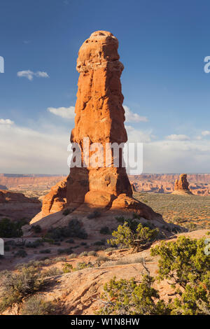 Sandsteinformationen, Garten Eden, Elephant Butte, Arches National Park, Moab, Utah, USA Stockfoto