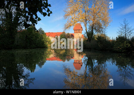 Blick aus dem Teich zu der Kathedrale, Dinelsbühl, Romantische Straße, Franken, Bayern, Deutschland Stockfoto