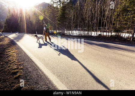 Backcountry skier mit seinem Hund auf dem Weg zum Plansee, Ammergauer Alpen, Tirol, Österreich Stockfoto