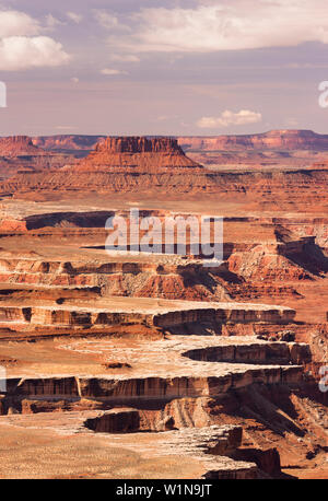 Grand View Point, Green River Overlook, Island In The Sky, Canyonlands National Park, Utah, USA Stockfoto