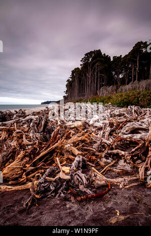 Tote Bäume am Strand in der Nähe von Haast, Südinsel, Neuseeland Stockfoto