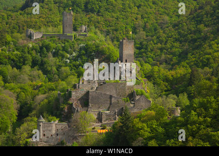 Oberburg und Niederburg Schlösser, in der Nähe von Manderscheid, Eifelsteig Wanderweg, Vulkaneifel, Eifel, Rheinland-Pfalz, Deutschland Stockfoto