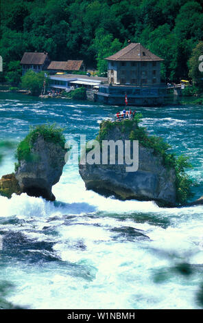 Rheinfall, Schaffhausen, Schweiz Stockfoto