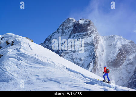 Frau back-country skiing aufsteigend in Richtung Punta Tre Chiosis, im Hintergrund der Monte Viso, Punta Tre Chiosis, Valle Varaita, Cottischen Alpen, Piemont, Stockfoto