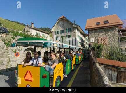 Epesses, Weinberge, Lavaux, den Genfer See, die Schweizer Alpen, Schweiz Stockfoto
