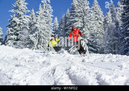 Zwei Personen zurück - Langlauf Abfahrt durch Winter Forest, Sonntagshorn, Chiemgau, Salzburg, Österreich Stockfoto