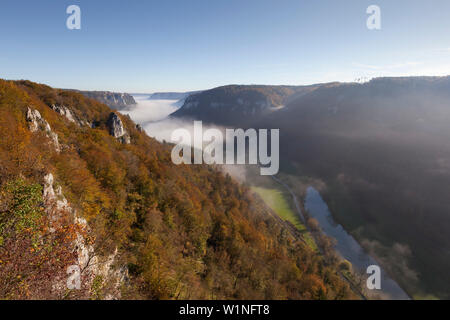 Clearing Nebel im Tal der Donau, Blick auf Schloss Werenwag, Naturpark Obere Donau, Baden-Württemberg, Deutschland Stockfoto