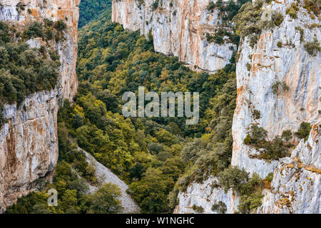 Canyon Foz de Arbayún mit Río Salazar, La Sierra de Leyre, Pyrenäen, Navarra, Spanien Stockfoto