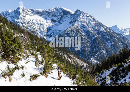 Backcountry skier mit seinem Hund in den Ammergauer Alpen, mit Blick auf die Spitzen Geierkoepfe, Tirol, Österreich. Stockfoto