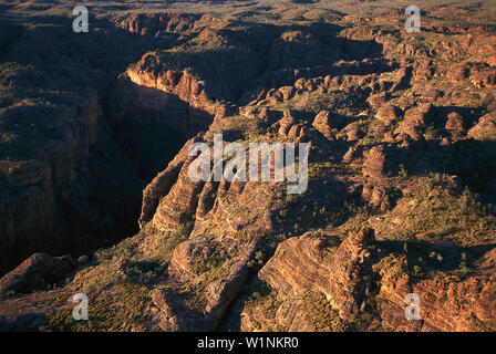 Luftaufnahme, Bungle Bungles, Kimberley Purnululu NP, WA, Australien Stockfoto