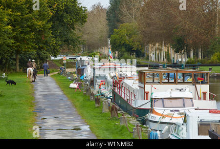 Die 11 Schleusen bei Guipel, Canal d'Ille-et-Rance, Departement Ille-et-Vilaine, Bretagne, Frankreich, Europa Stockfoto