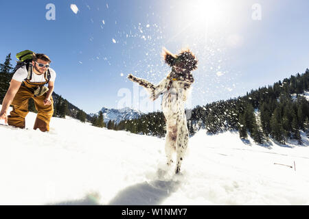 Aufgeregt Hund im Schnee spielen mit seinem Meister, Ammergauer Alpen, Bayern, Deutschland Stockfoto
