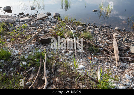 Polystyrol, Styropor Müll am Ufer. Stockfoto