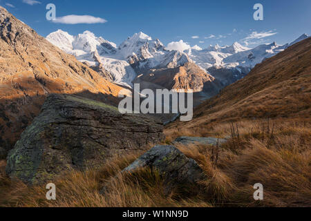 Abendsonne auf den Gipfel des Piz Bernina (4048 m), Piz Scerscen (3971 m) und Piz Roseg (3987 m) über das Rosegtal, Engadin, Schweiz Stockfoto