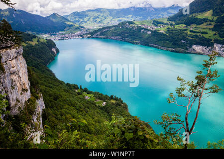 Vierwaldstätter See mit dem Rütli Wiese, der Ursprung der Schweiz, im Hintergrund die Stadt der Brunnen, Kanton Uri, Schweiz, Europa Stockfoto