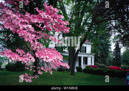 Hamptons, Frühling, Long Island, New York, USA Stockfoto