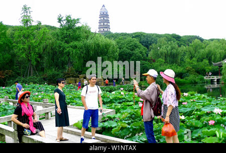 Juli 3, 2019 - Zhejiang, Jiangsu, China Jiangsu, China - 3. Juli 2019: ein Pavillon Garten von huqiu Mountain Scenic Area in Suzhou, Provinz Jiangsu ist mit Lotus mit einer Fläche von über 1500 Quadratmetern überlagert. blühender Lotus und tausend Jahre alte Pagode viele Touristen kommen, Fotos zu machen und zu gewinnen. (Bild: © SIPA Asien über ZUMA Draht) Stockfoto